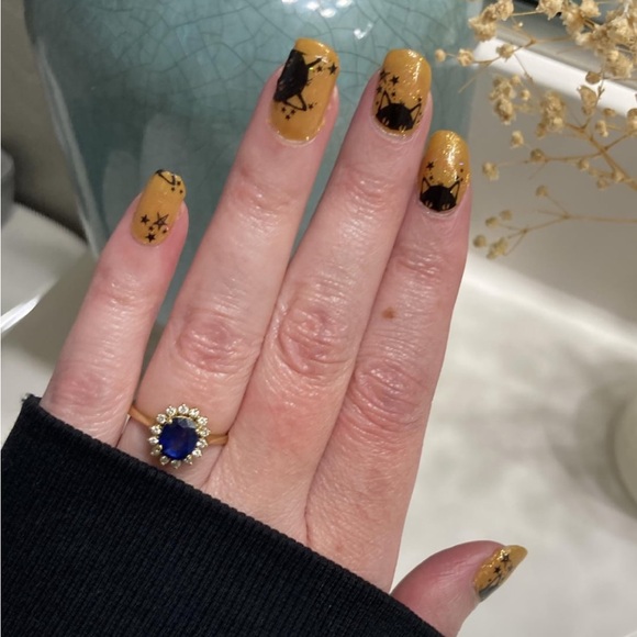 *Retired* Color Street: Nine Lives | Black Cat Halloween Clear Overlay Glitter - Picture 7 of 16